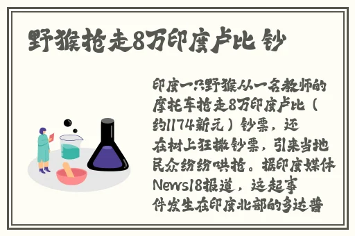 厕沟精品清晰女厕正面